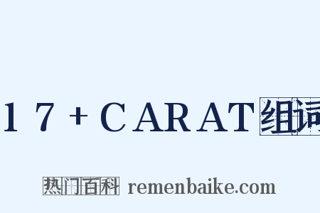 17+CARAT组词是什么意思的图片